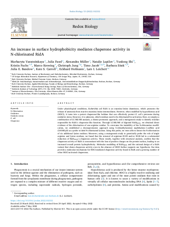 Cover der Publikation