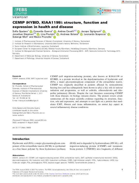 Cover der Publikation