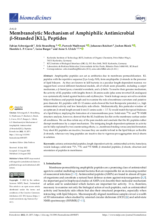 Cover der Publikation