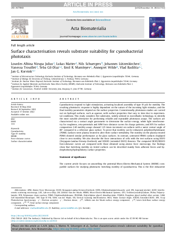 Cover der Publikation