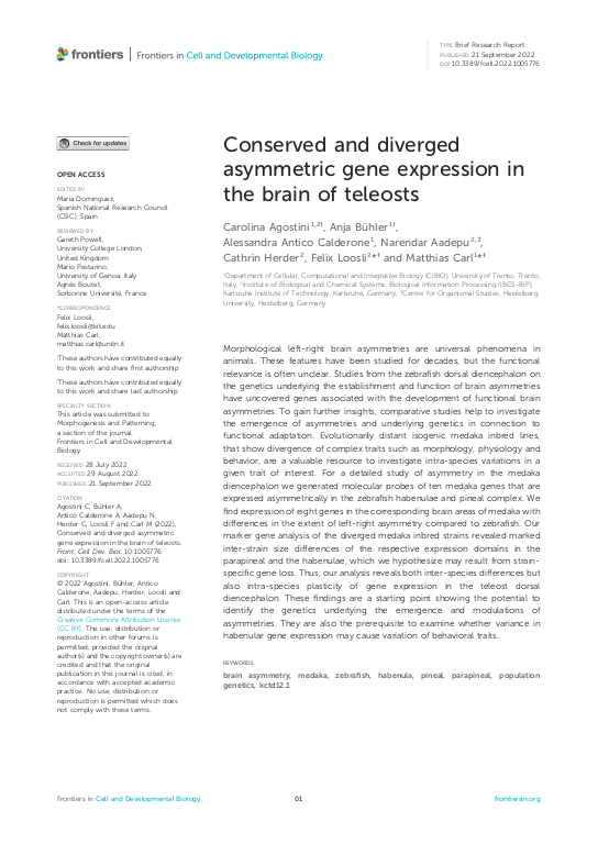 Cover der Publikation