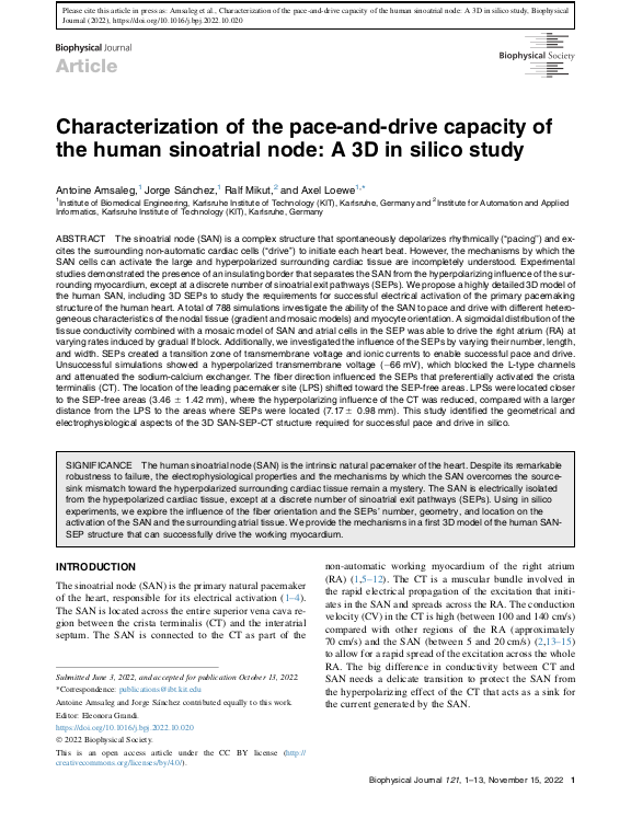 Cover der Publikation