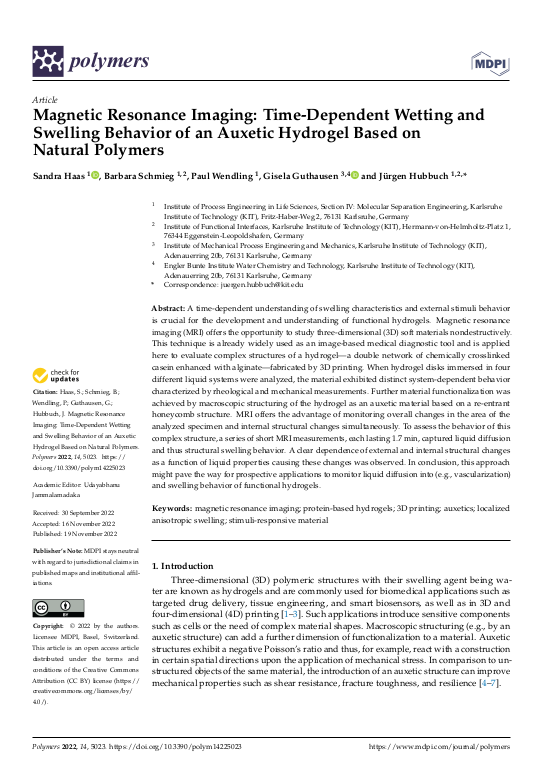 Cover der Publikation