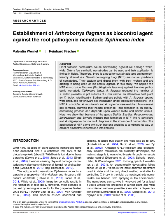 Cover der Publikation