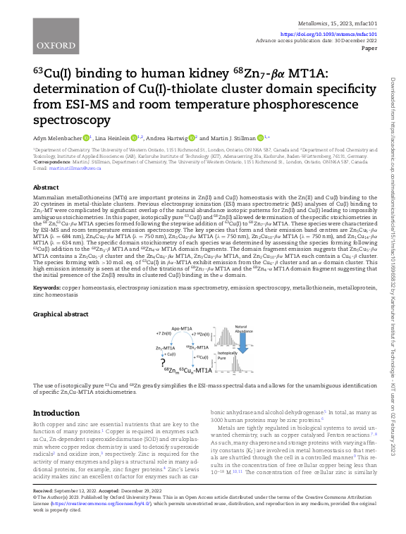 Cover der Publikation