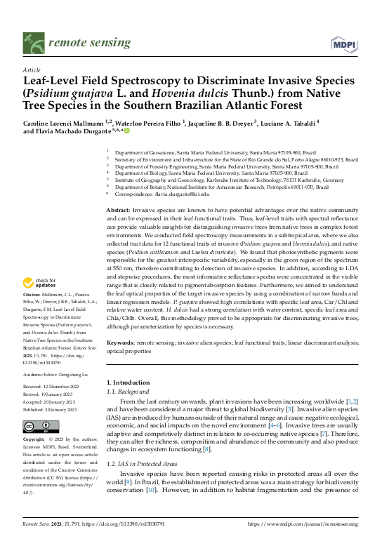 Cover der Publikation