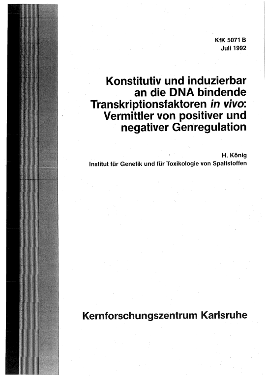 Cover der Publikation