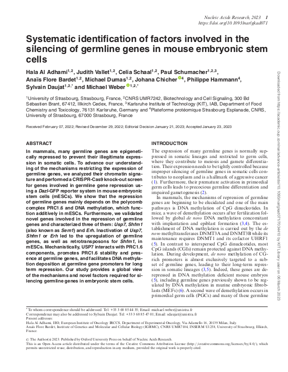 Cover der Publikation