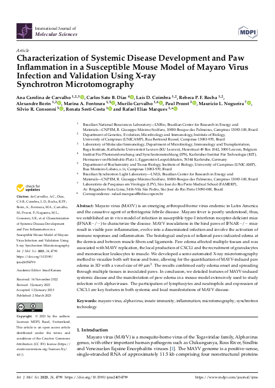 Cover der Publikation