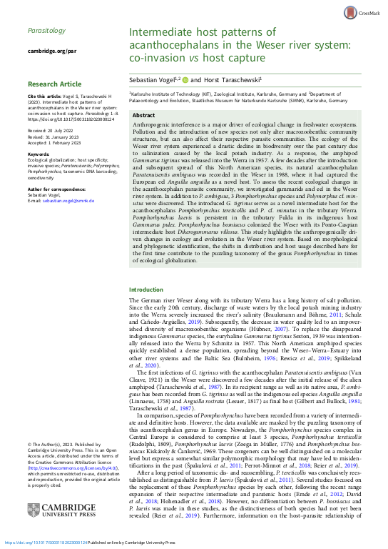 Cover der Publikation