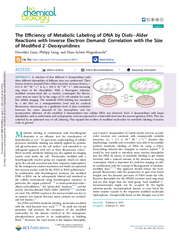 Cover der Publikation