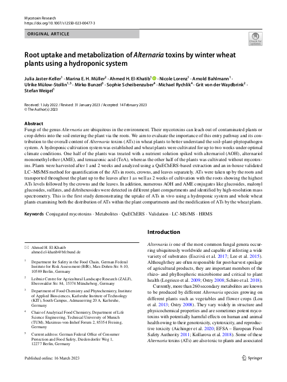 Cover der Publikation