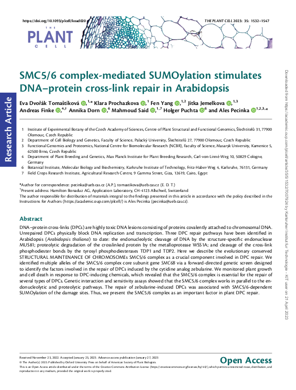 Cover der Publikation