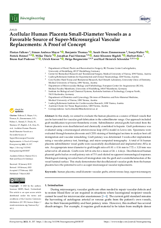 Cover der Publikation