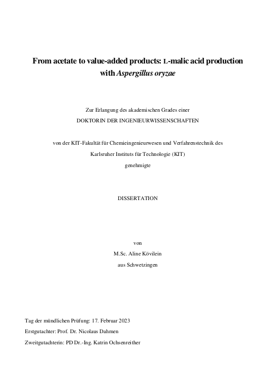 Cover der Publikation