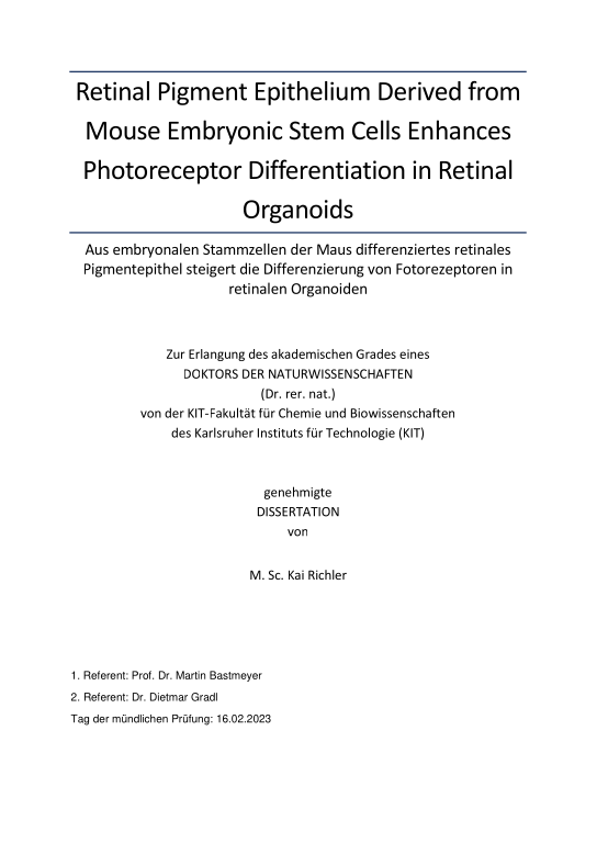 Cover der Publikation