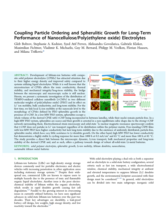 Cover der Publikation