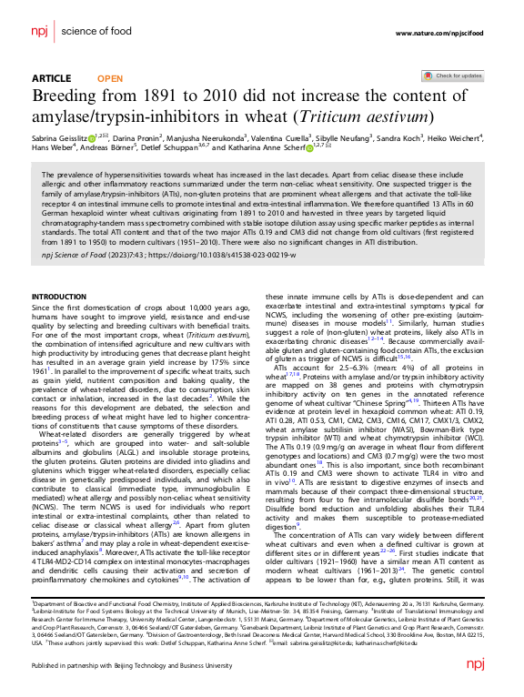 Cover der Publikation