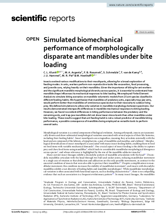 Cover der Publikation