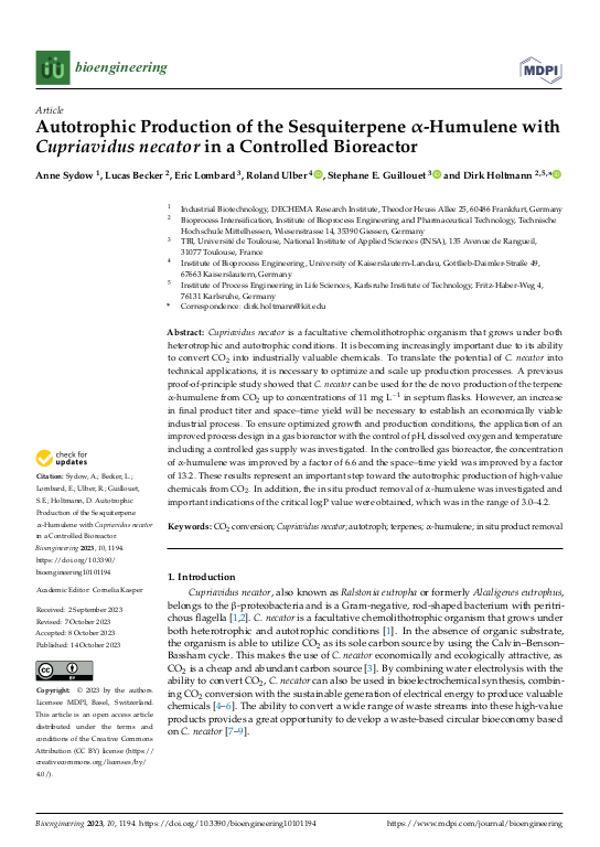 Cover der Publikation