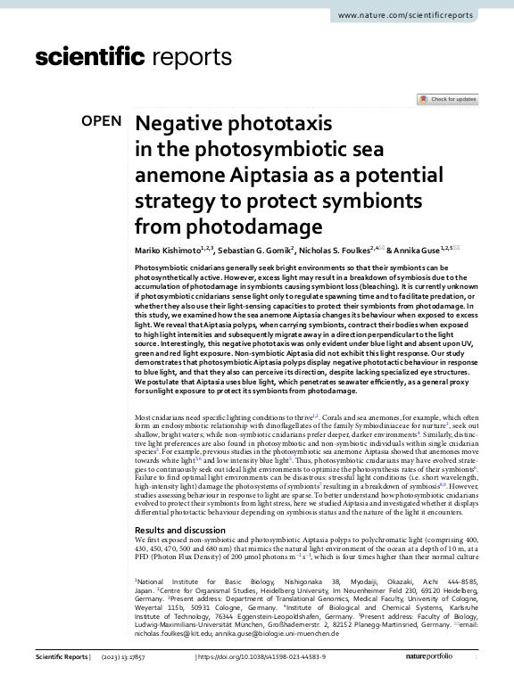 Cover der Publikation