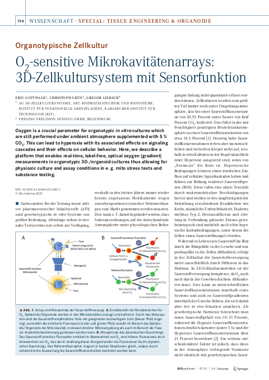 Cover der Publikation