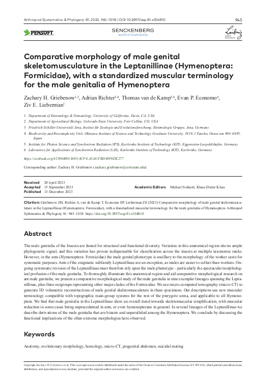 Cover der Publikation