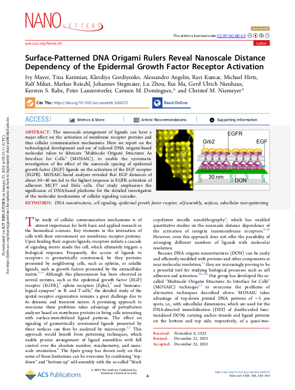 Cover der Publikation