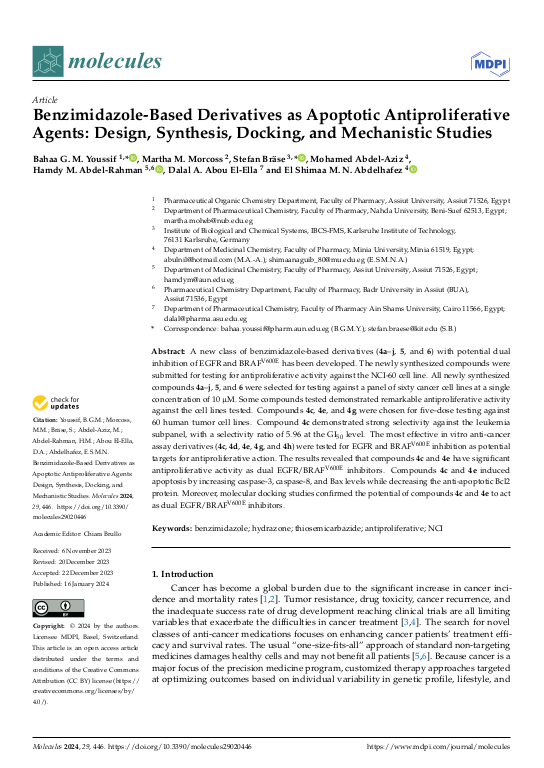 Cover der Publikation