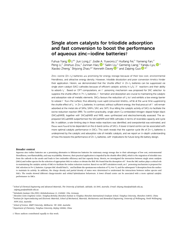 Cover der Publikation