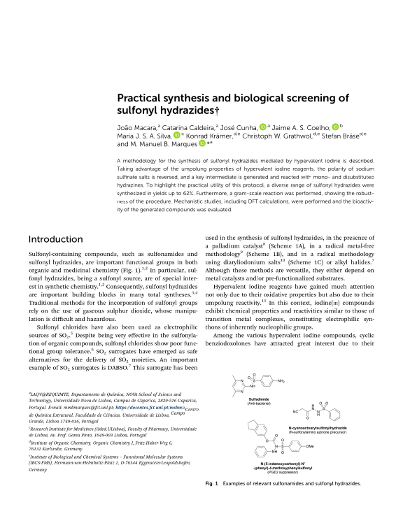 Cover der Publikation