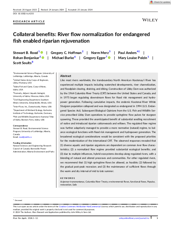 Cover der Publikation