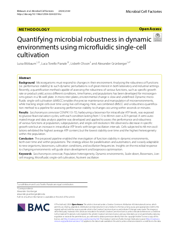 Cover der Publikation