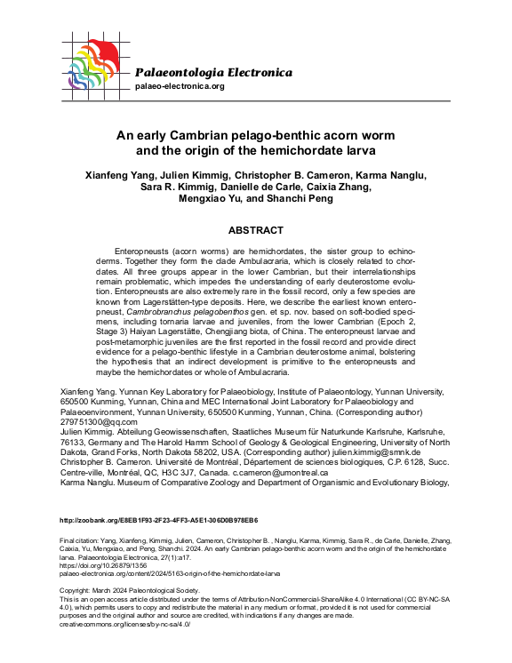 Cover der Publikation