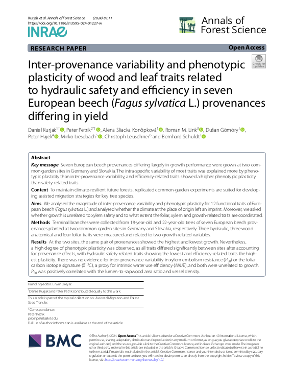 Cover der Publikation