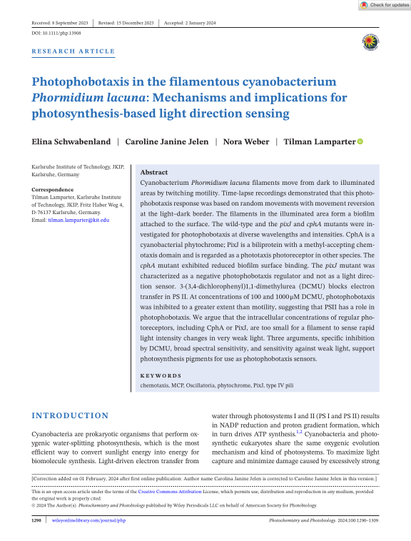 Cover der Publikation