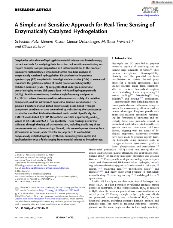 Cover der Publikation