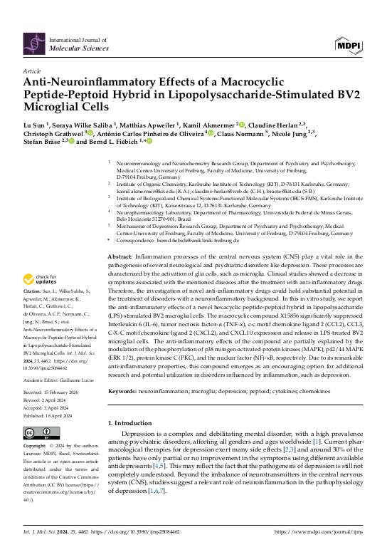 Cover der Publikation