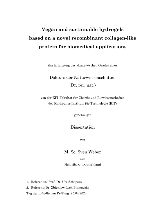 Cover der Publikation