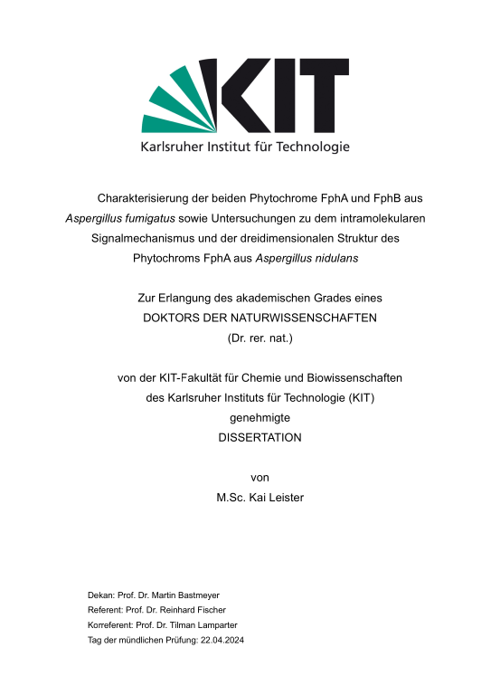 Cover der Publikation