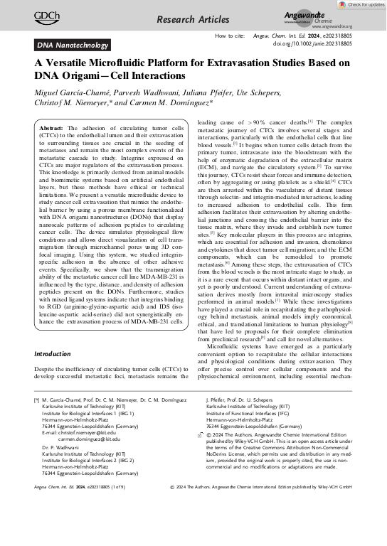 Cover der Publikation