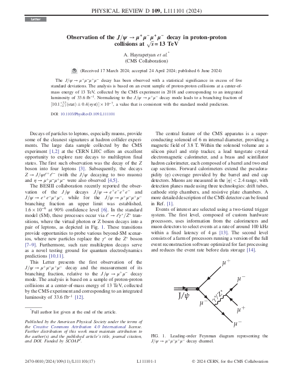 Cover der Publikation