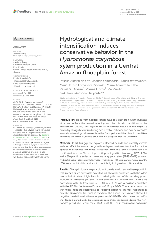 Cover der Publikation