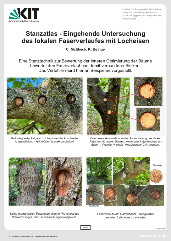 Cover der Publikation