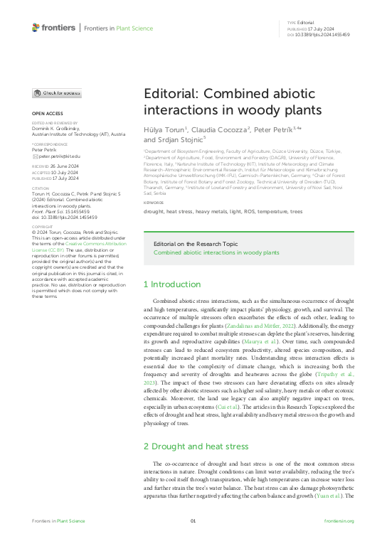 Cover der Publikation