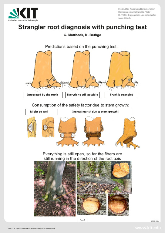 Cover der Publikation