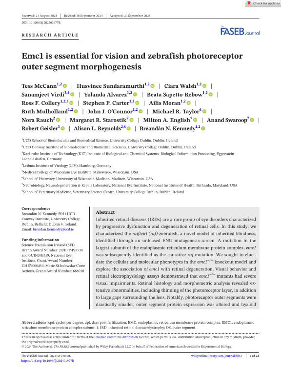 Cover der Publikation