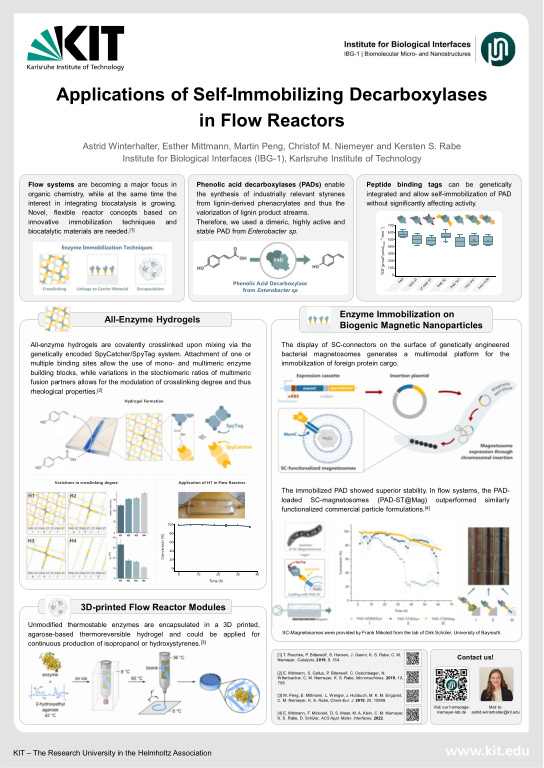 Cover der Publikation