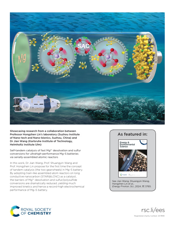 Cover der Publikation