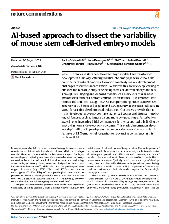 Cover der Publikation